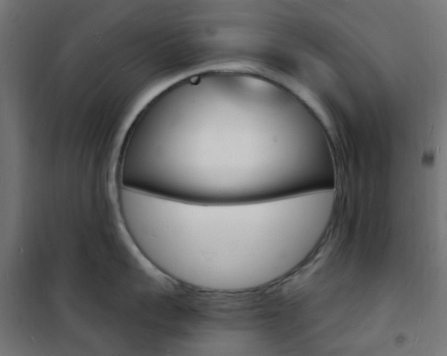 X0000101480959200807071240