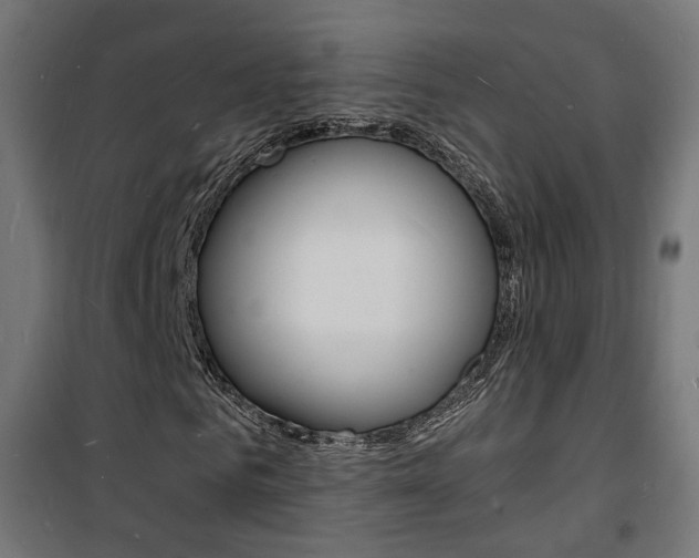 X0000101480961200807071239