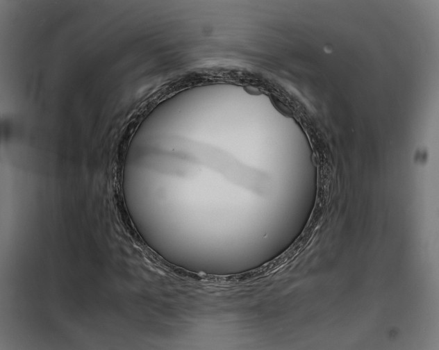 X0000101480965200807071239