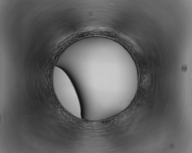 X0000101480966200807071239
