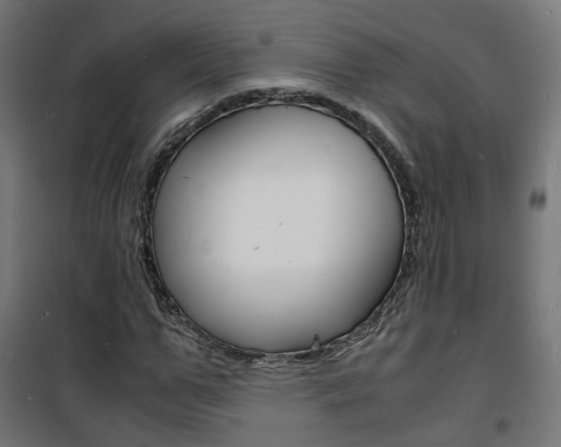 X0000101480967200807071239