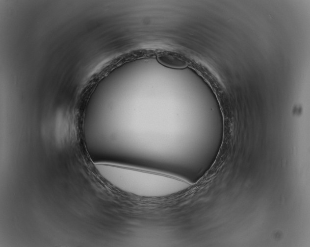 X0000101480968200807071239