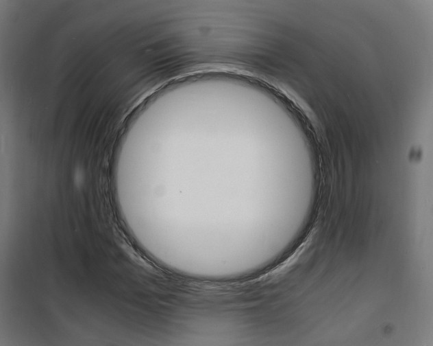 X0000101480969200807071239