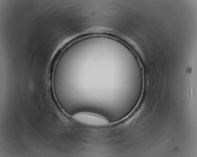 X0000101480973200807071239