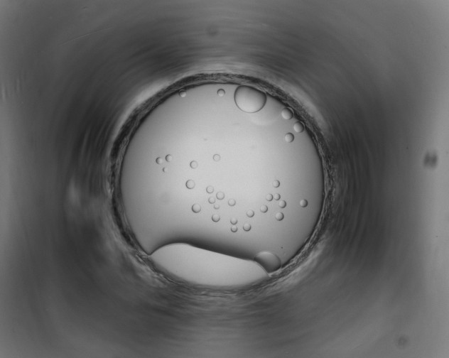 X0000101480974200807071239