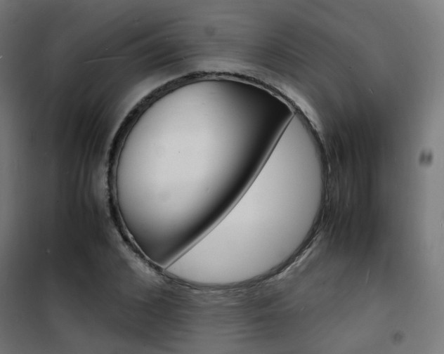X0000101480976200807071239