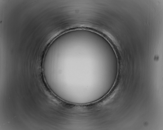 X0000101480977200807071239