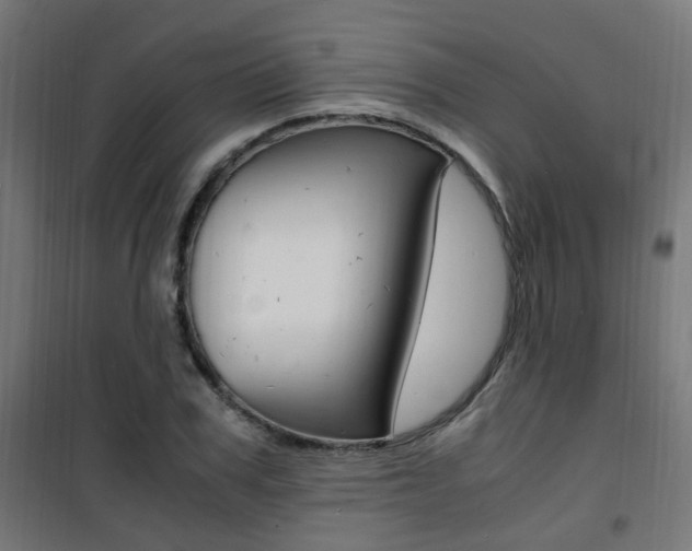 X0000101480979200807071239