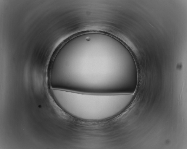 X0000101480980200807071239