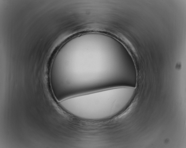 X0000101480981200807071239