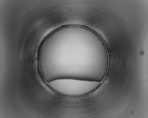 X0000101480982200807071239