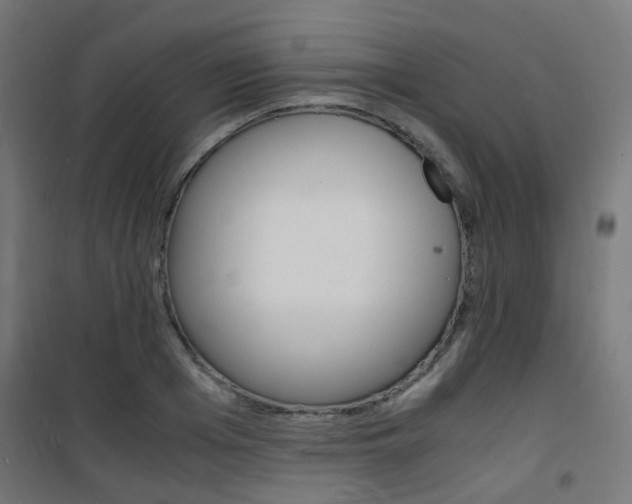 X0000101480985200807071239