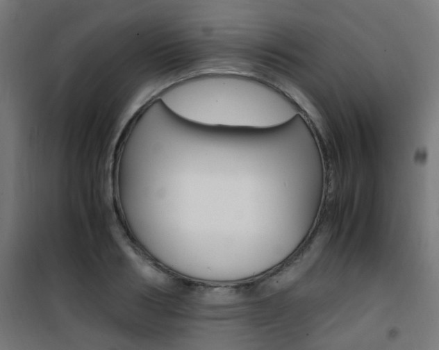 X0000101480986200807071239