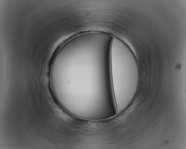 X0000101480987200807071239