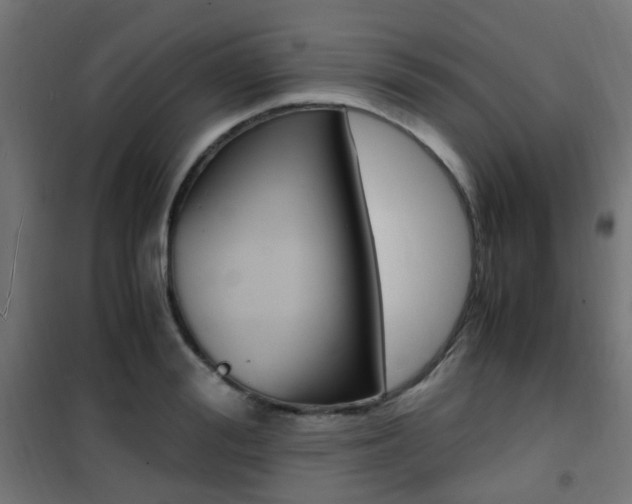 X0000101480988200807071239