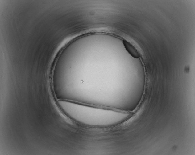 X0000101480989200807071239