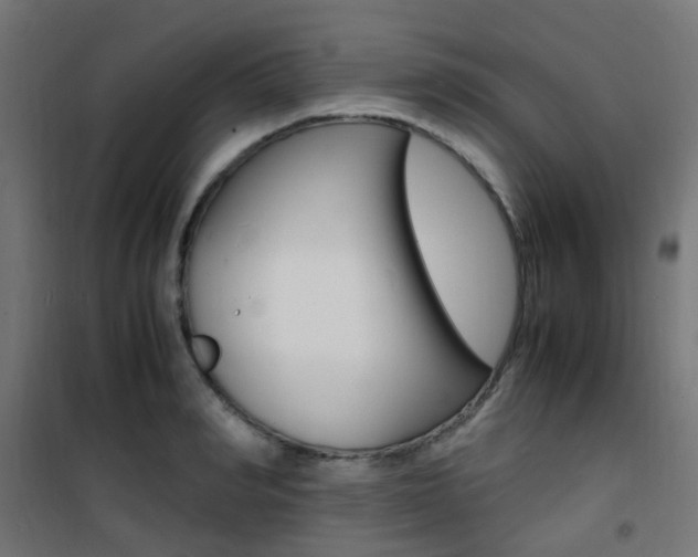 X0000101480990200807071239