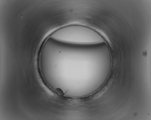 X0000101480991200807071239