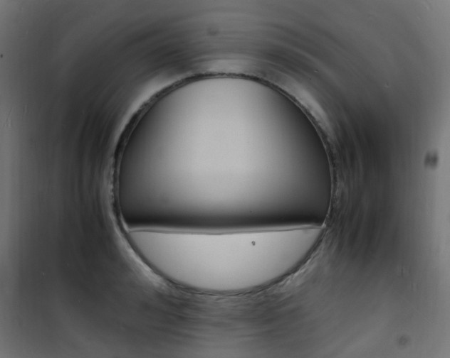 X0000101480992200807071239