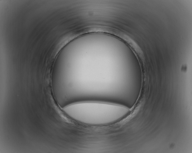 X0000101480993200807071239