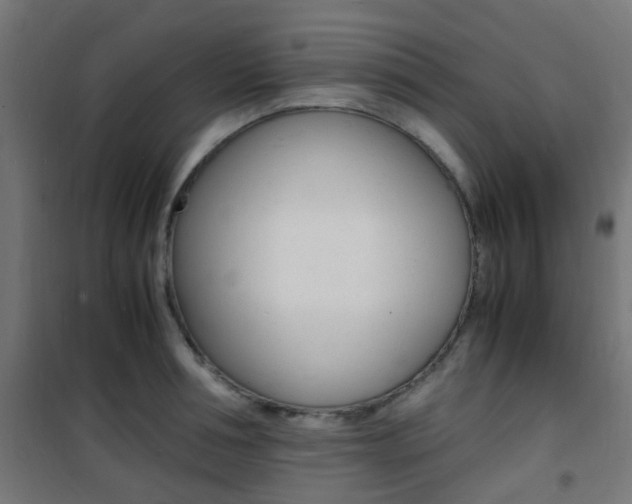 X0000101480994200807071239