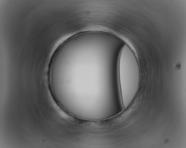 X0000101480995200807071239