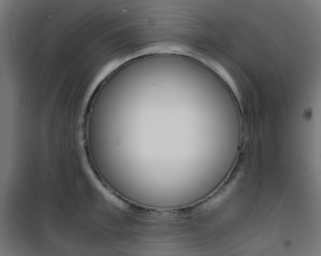 X0000101480997200807071239