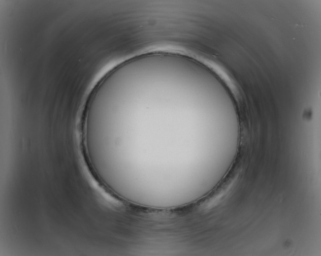 X0000101480999200807071239