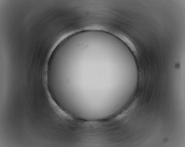 X0000101481000200807071239
