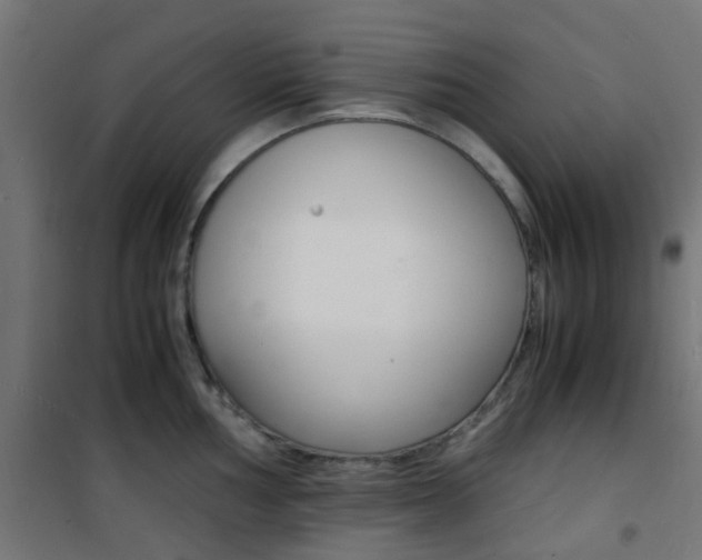 X0000101481002200807071239
