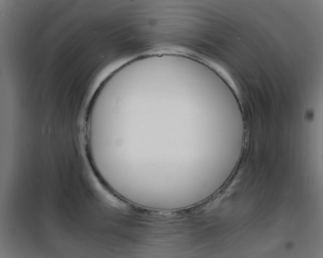 X0000101481003200807071239