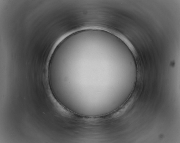 X0000101481004200807071239