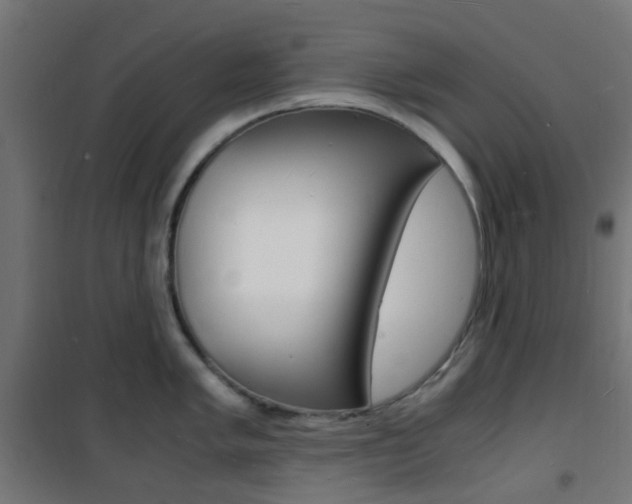 X0000101481005200807071238