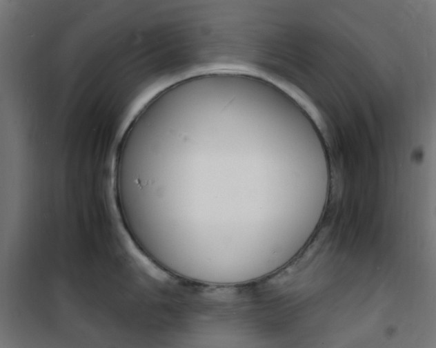 X0000101481006200807071238