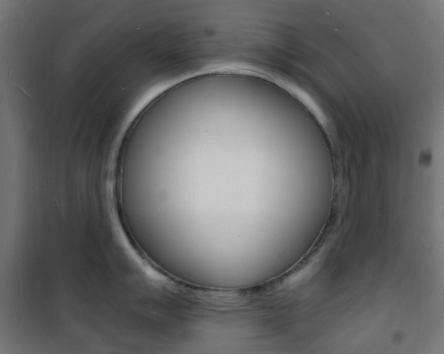 X0000101481007200807071238
