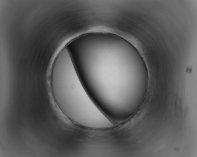X0000101481008200807071238