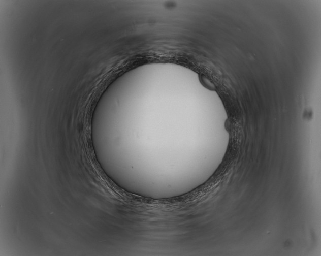 X0000101481009200807071238