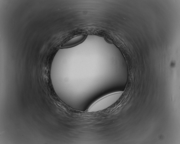 X0000101481010200807071238