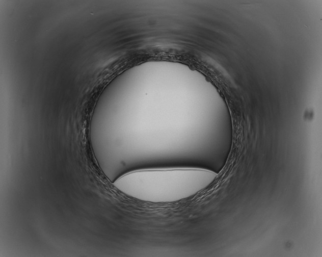 X0000101481013200807071238