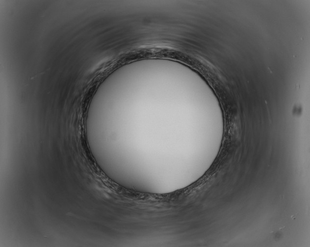 X0000101481014200807071238