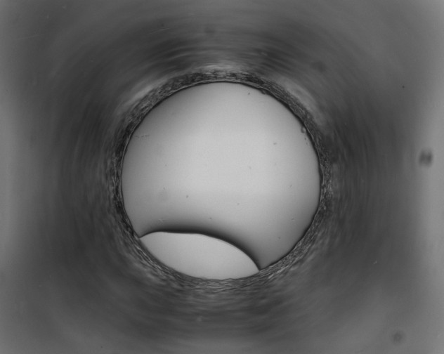 X0000101481015200807071238