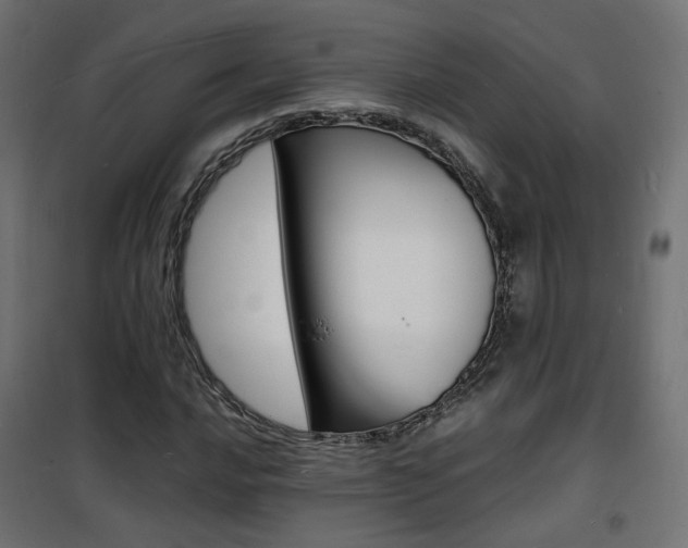 X0000101481016200807071238