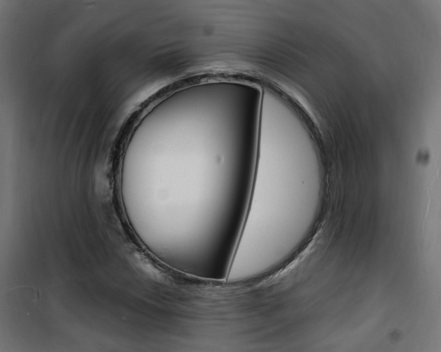 X0000101481018200807071238