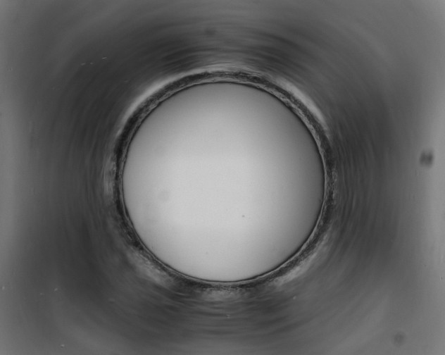 X0000101481021200807071238