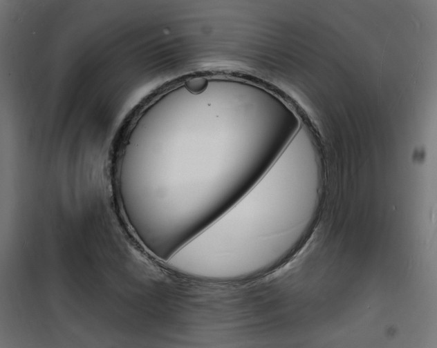 X0000101481022200807071238