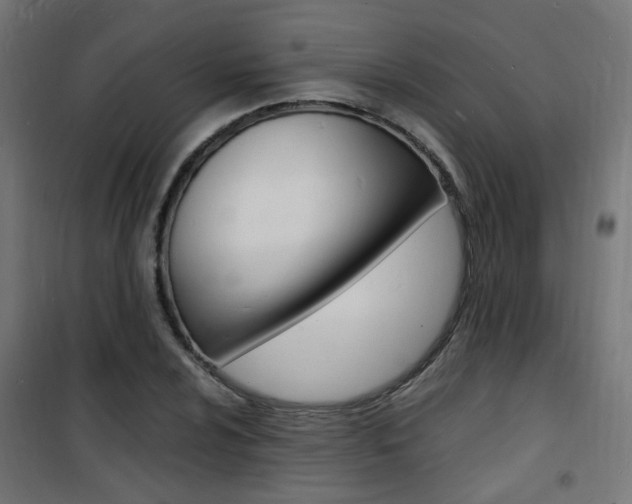 X0000101481024200807071238