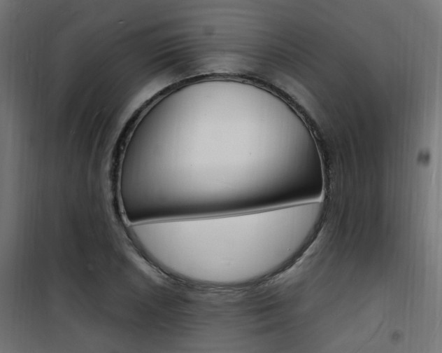X0000101481026200807071238