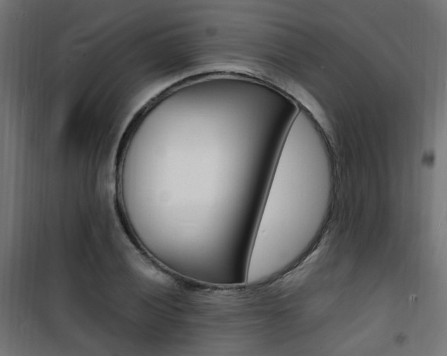 X0000101481028200807071238
