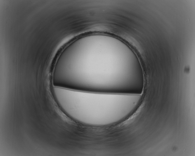 X0000101481029200807071238