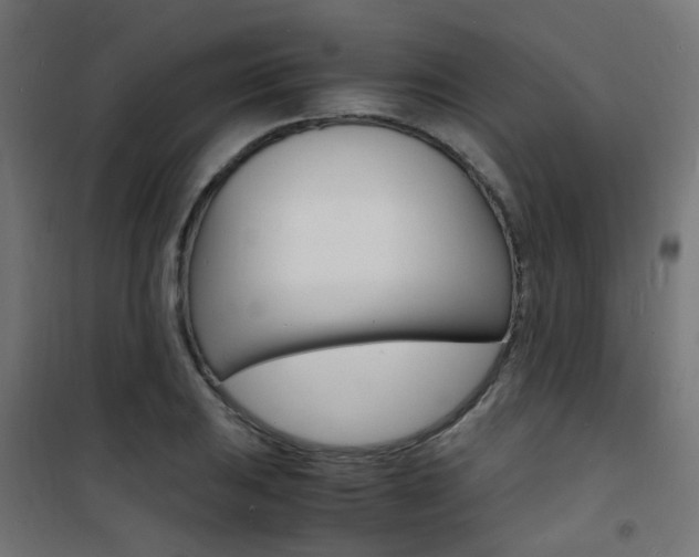 X0000101481031200807071238